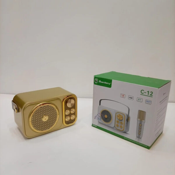 اسپیکر قابل حمل Smartberry مدل C-12 با میکروفن