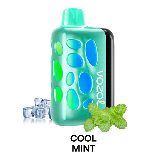 پاد یکبار مصرف ریو ۴۰۰۰۰ پاف کمپانی وزول طعم نعنای خنک | Vozol Rave 40000 Puffs Cool Mint