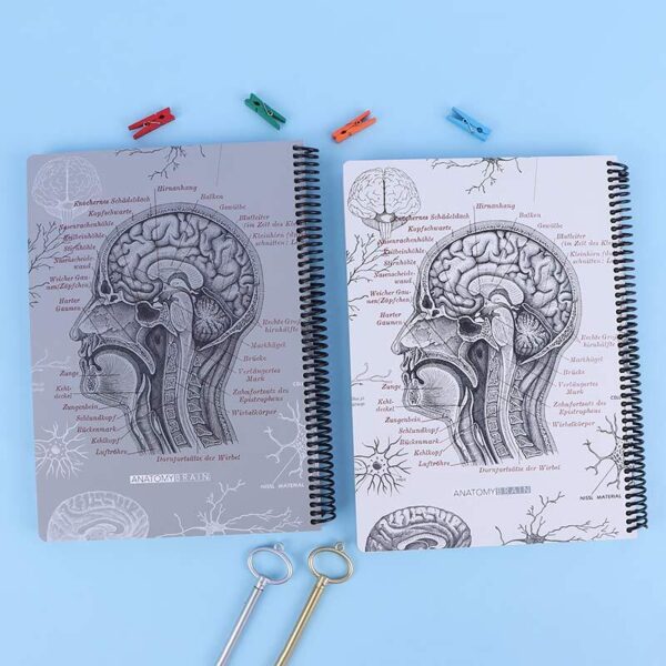 دفتر سیمی 100 برگ رحلی طرح Brain Anatomy دات نوت