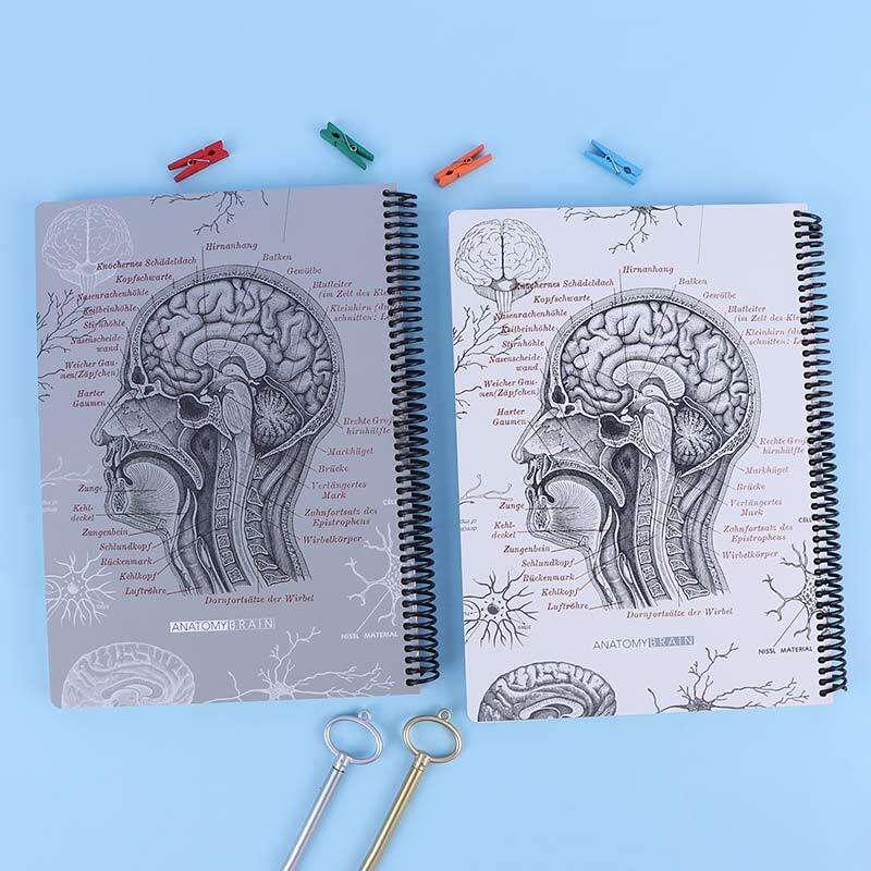 دفتر سیمی 100 برگ رحلی طرح Brain Anatomy دات نوت