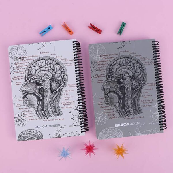 دفتر سیمی 100 برگ وزیری طرح Brain Anatomy دات نوت